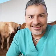 Mario Enguita Lozano