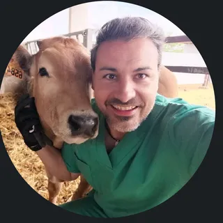 Mario Enguita Lozano